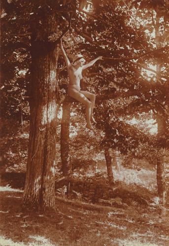 Charles Augustin Lhermitte - Nu portant une charlotte, perché sur une branche, d...