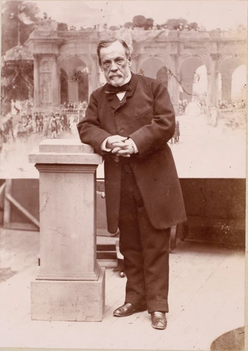 Henri Mairet - Louis Pasteur
