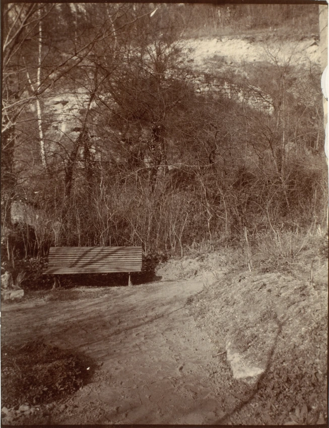 Paul Haviland - Chaponval, un coin du jardin de grand-père