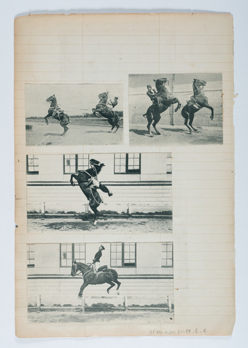 Jacques Lalaing de - Diverses tentatives de sauts et poses (cabrures)