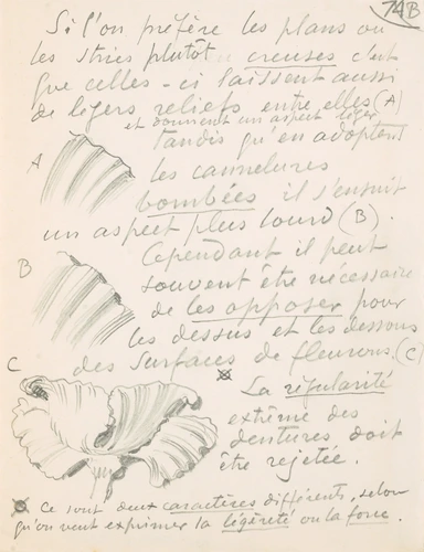 Eugène Grasset - Fleur en relief et détails de pétales