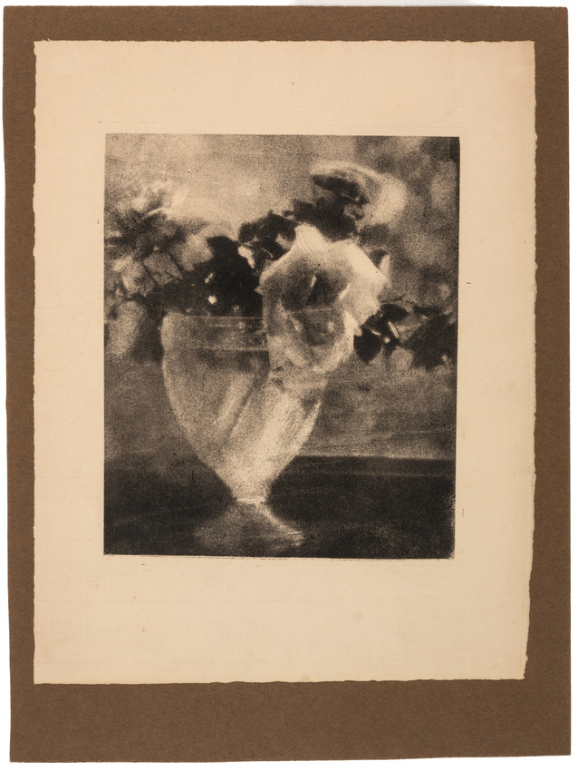 Céline Laguarde - Nature morte