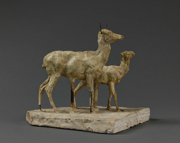 Biche et faon (petit faon se retournant)