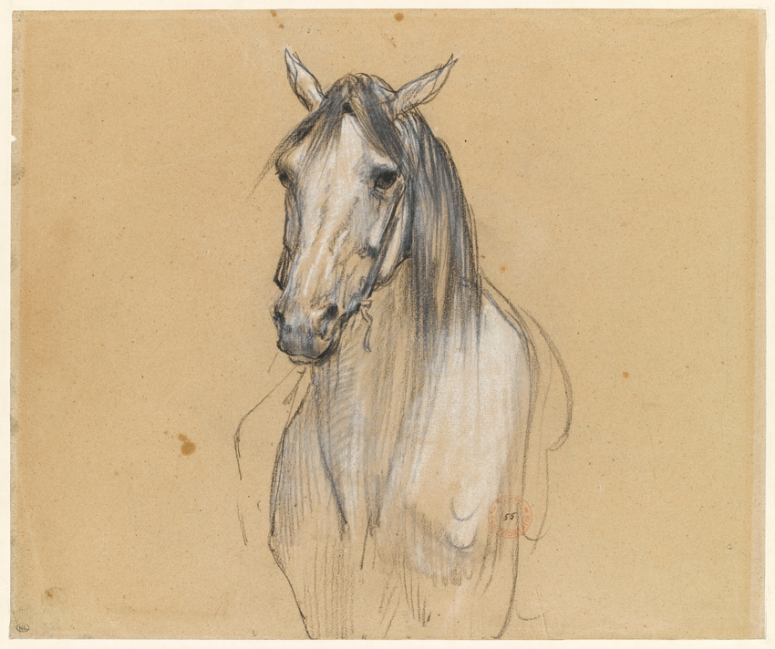 Eugène Fromentin - Tête de cheval