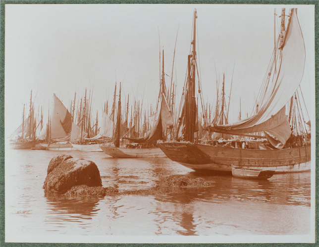Charles Augustin Lhermitte - Rassemblement de thoniers, Concarneau