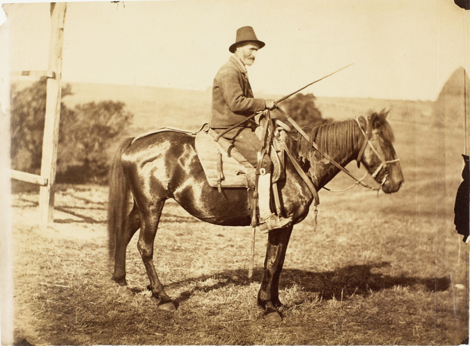 Anonyme - Cavalier