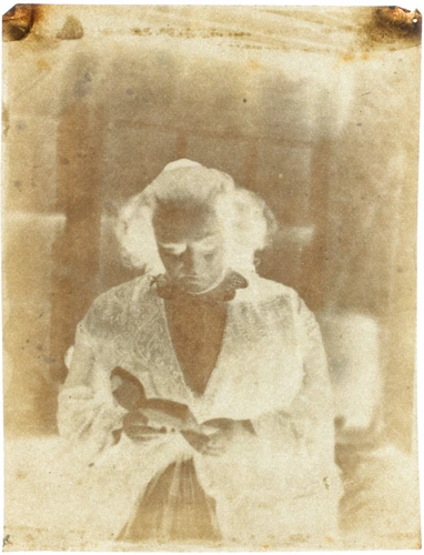 Auguste Vacquerie - Madame Victor Hugo lisant devant la serre de Marine Terrace