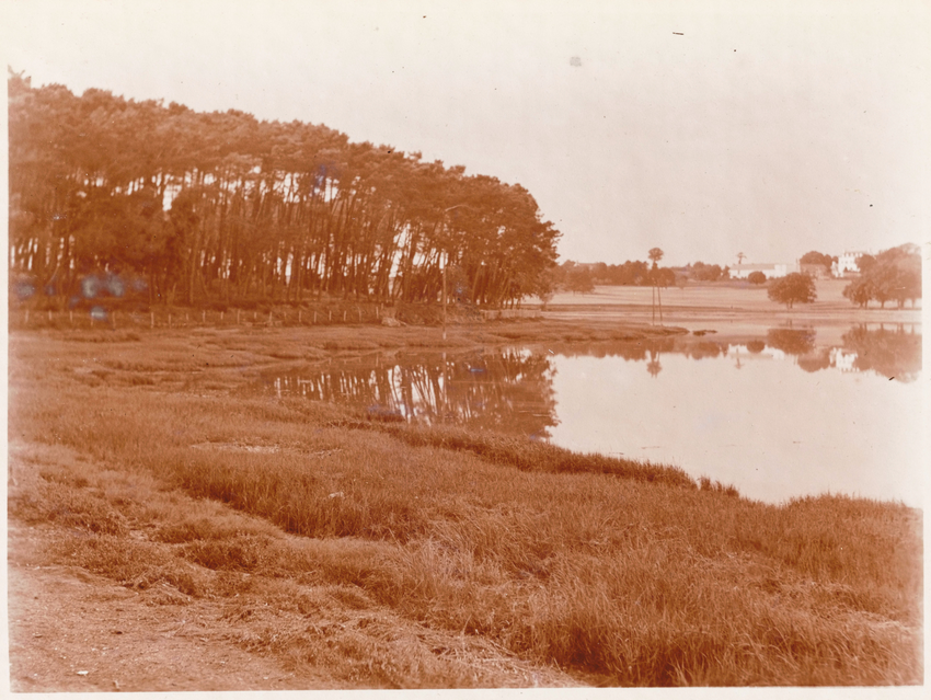 Conleau, paysage - Charles Augustin Lhermitte