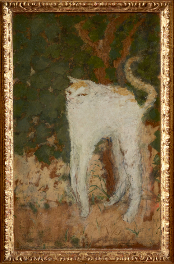 Le Chat blanc - Pierre Bonnard | Musée d'Orsay