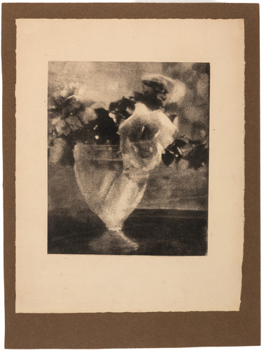 Céline Laguarde - Nature morte
