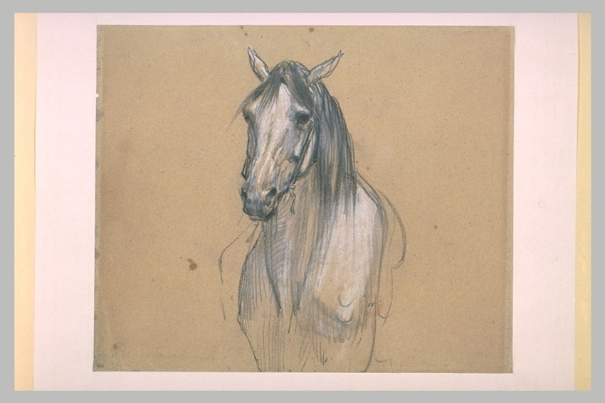 Eugène Fromentin - Tête de cheval
