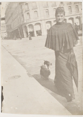 Henri Rivière - Madame Rivière marchant en compagnie de deux chiens devant la ga...