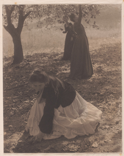 Clarence Hudson White - The Orchard