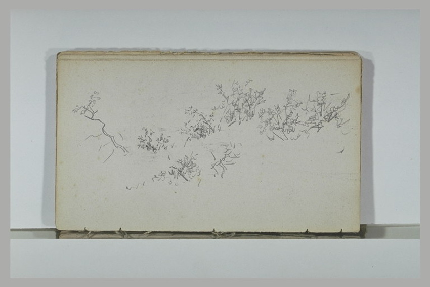 Alphonse de Neuville - Broussailles