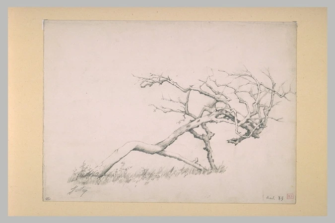 Jules-Marie Justin - Etude d'arbre couché dans une prairie fleurie