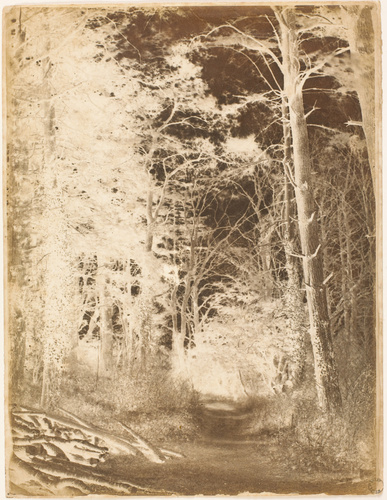 George Shaw - Chemin en forêt