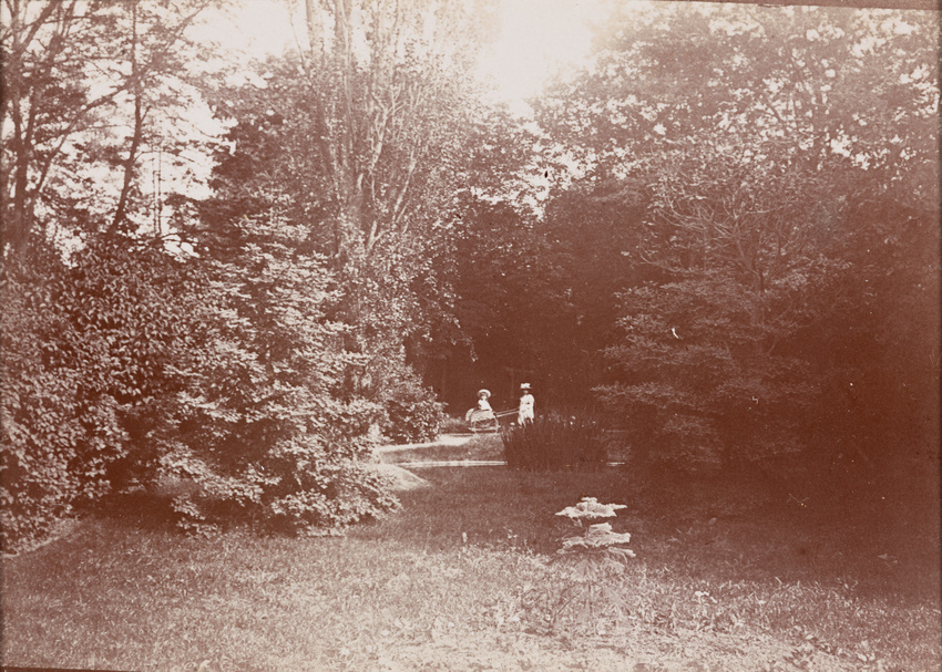 Emile Zola - Dans un paysage arboré, Denise tirant Jacques installé dans une cha...