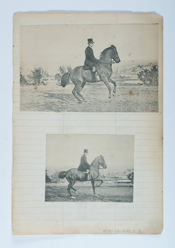 Jacques Lalaing de - Cavalier sur cheval en pose