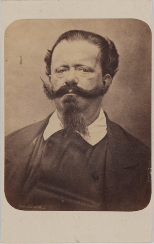 Pierre-Ambroise Richebourg - Victor-Emmanuel II