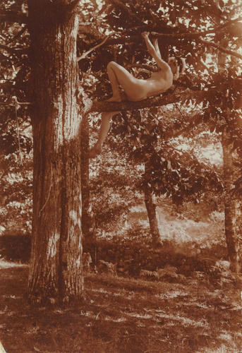 Charles Augustin Lhermitte - Jeune fille nue en équilibre sur la branche d'un ar...