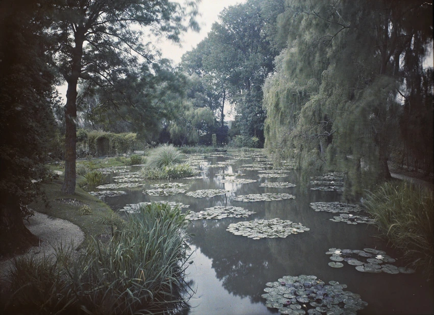 Anonyme - L'étang des Nymphéas à Giverny