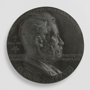 Jean Désiré Ringel d'Illzach - Louis Pasteur