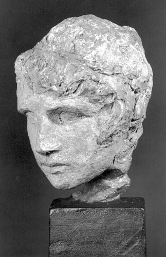 Charles René de Saint-Marceaux - Phénix