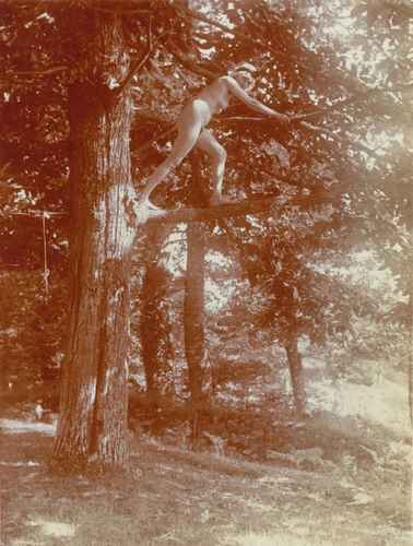Charles Augustin Lhermitte - Jeune femme posant nue, debout sur un arbre
