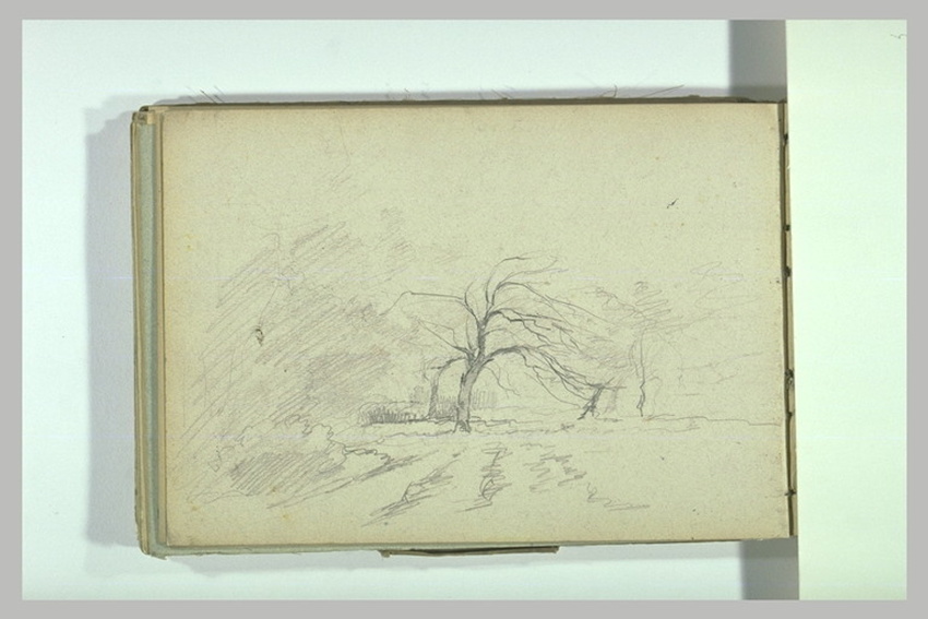 Léonide Bourges - Arbres dans un paysage