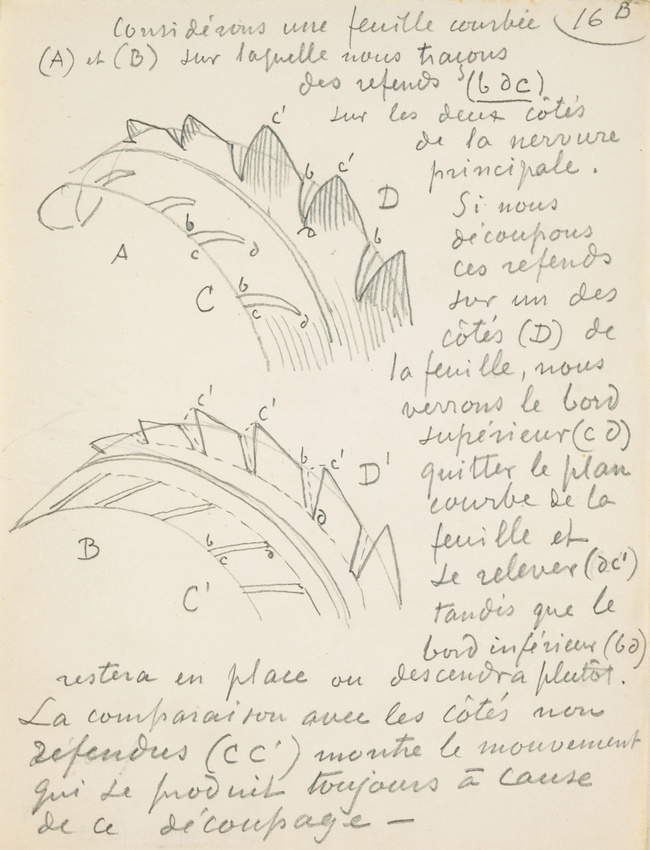 Eugène Grasset - Deux feuilles