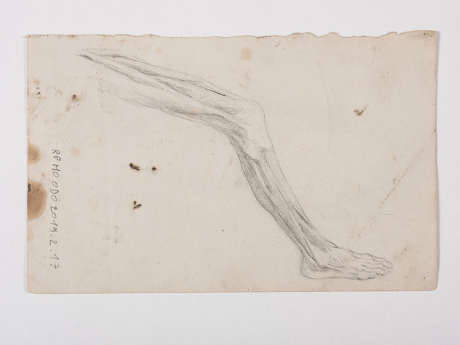 Jacques Lalaing de - Etude anatomique de jambe