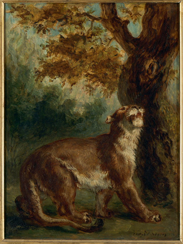 Eugène Delacroix - Le Puma