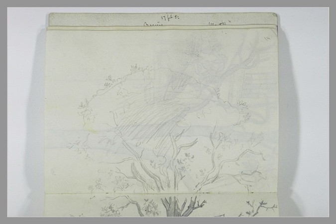 Alfred Dehodencq - Arbre