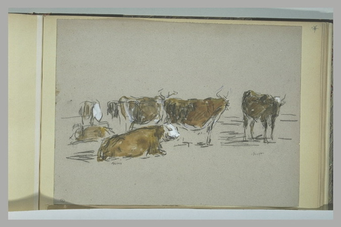 EUGENE BOUDIN、Paturage Boeuf et vaches dans un pâturage - Eugène Boudin | Musée d'Orsay
