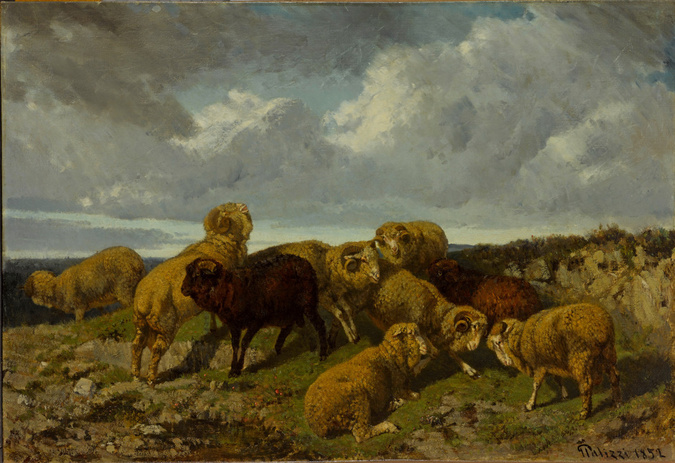 Giuseppe Palizzi - Béliers