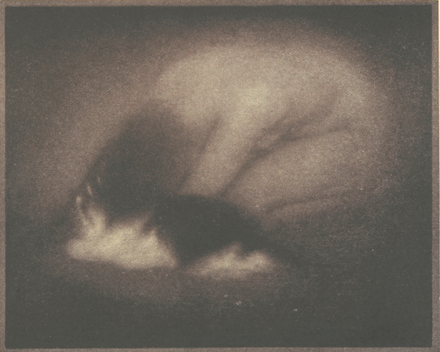 Edward Steichen - Nude with Cat