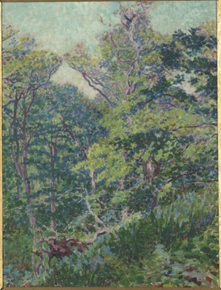 Georges Lacombe - Soleil dans les arbres