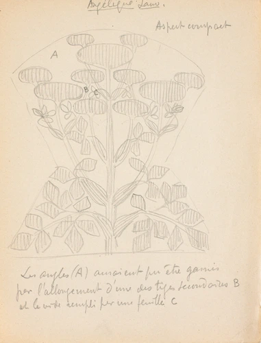 Eugène Grasset - Angélique sauvage géométrisée