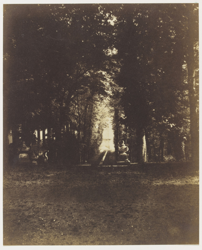 Louis Robert - Le Parc de Saint-Cloud, effet de lumière à travers les arbres