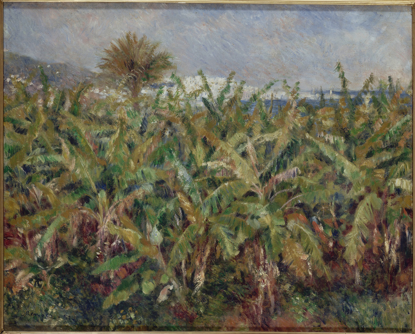 Auguste Renoir - Champ de bananiers