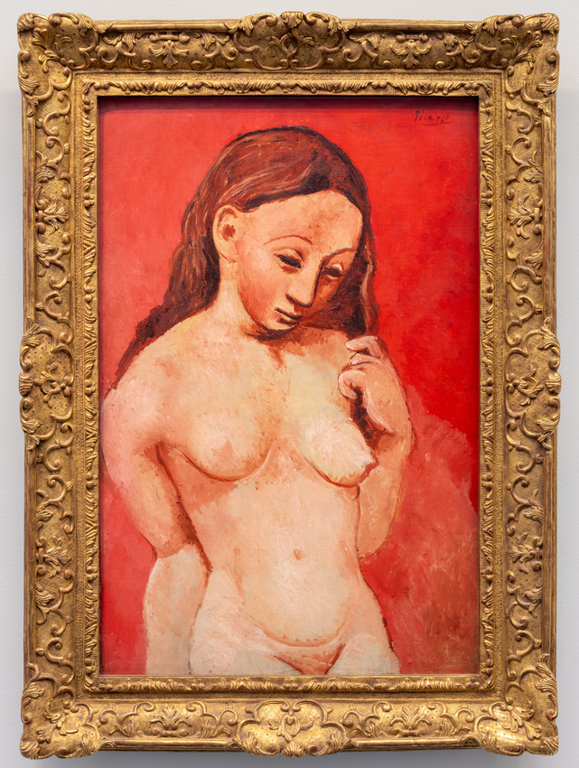 Pablo Picasso - Nu sur fond rouge