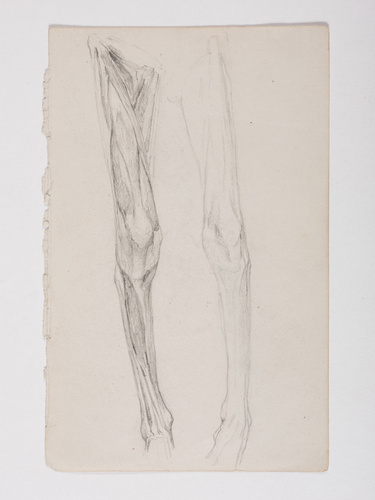 Jacques Lalaing de - Etude anatomique de jambes