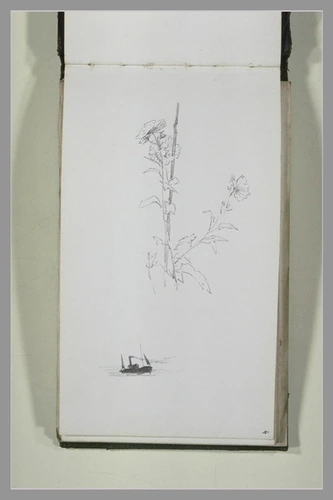 Alexander Mann - Etude de fleurs et petit croquis d'un bateau