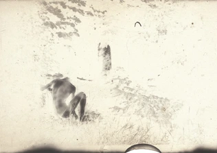 Pierre Bonnard - Pierre Bonnard de dos, assis dans l'herbe (prise de vue de Mart...