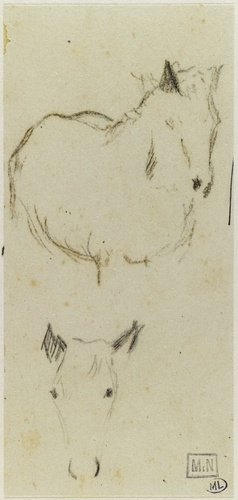Paul Gauguin - Etudes d'un cheval vu de face, sans les jambes ; tête de cheval