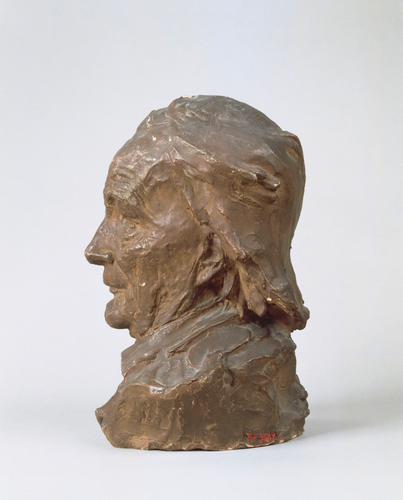 François Sicard - Jean-Henri Fabre
