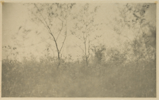 Joseph Keiley - Spring