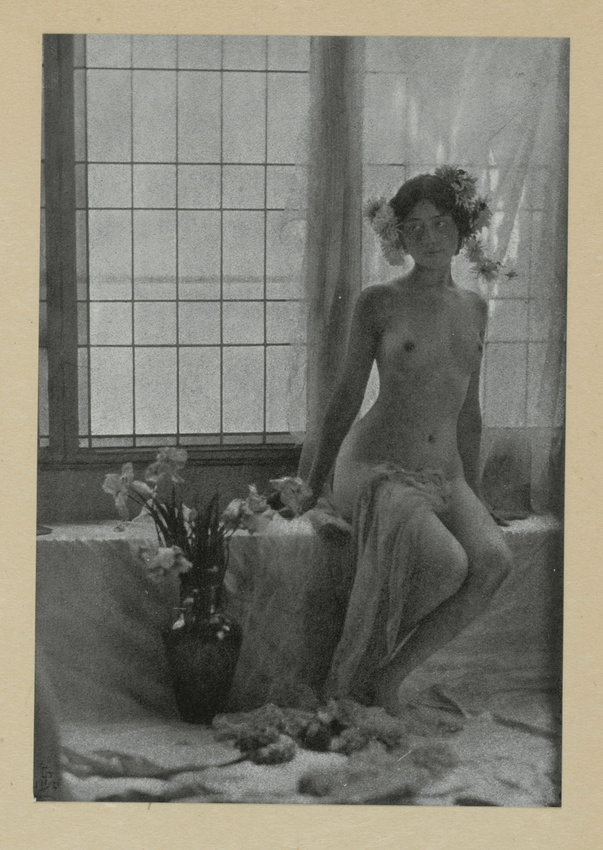 Constant Puyo - Nude, Against the Light
