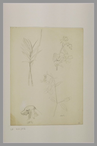 Odilon Redon、Tete de Jeune Femme de Prof Tête de jeune femme, de