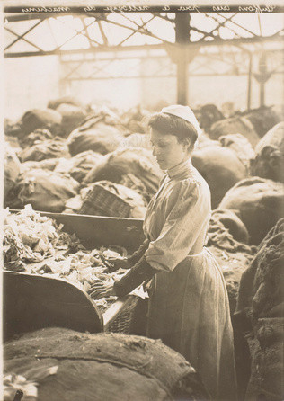 Anonyme - Vue de la salle des guichets de la Caisse d'épargne (Postparkasse), Vi...